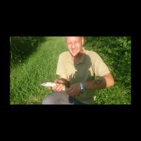 Bild von PROETTER96