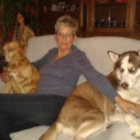 Bild von THE_OLD_ANGEL