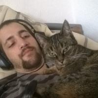 Bild von Paddy1