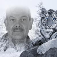 Bild von seewolf