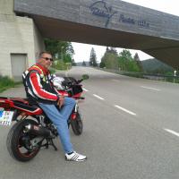 Bild von Racereplica