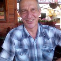 Bild von Steppenwolf