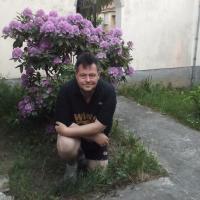 Bild von KeinLuegner