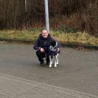 Bild von PhoenixEffekt