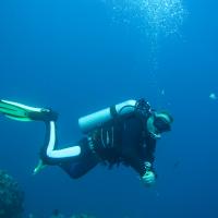 Bild von Septembermann